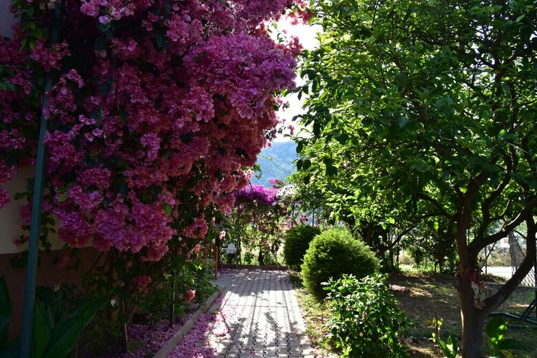 Lemon Garden Lodge