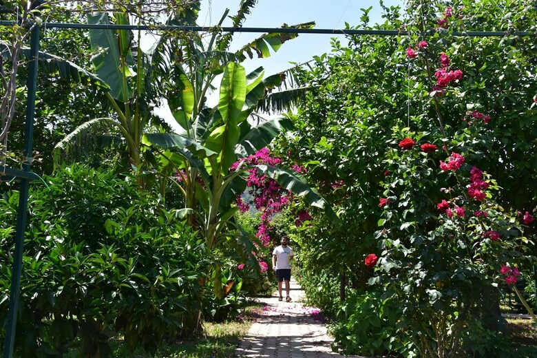 Lemon Garden Lodge