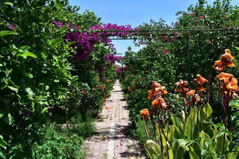 Lemon Garden Lodge