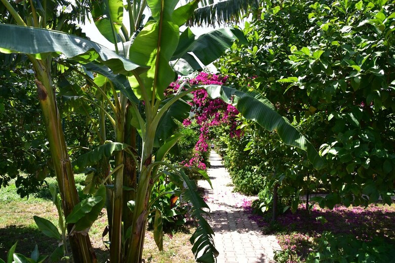 Lemon Garden Lodge