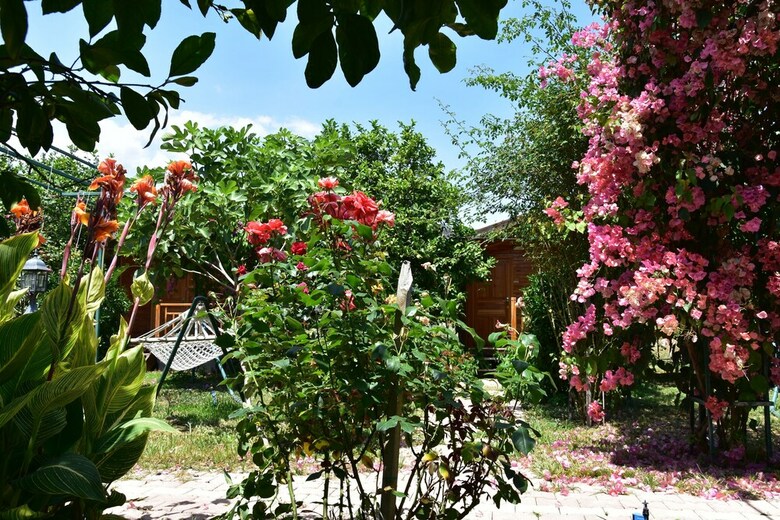 Lemon Garden Lodge