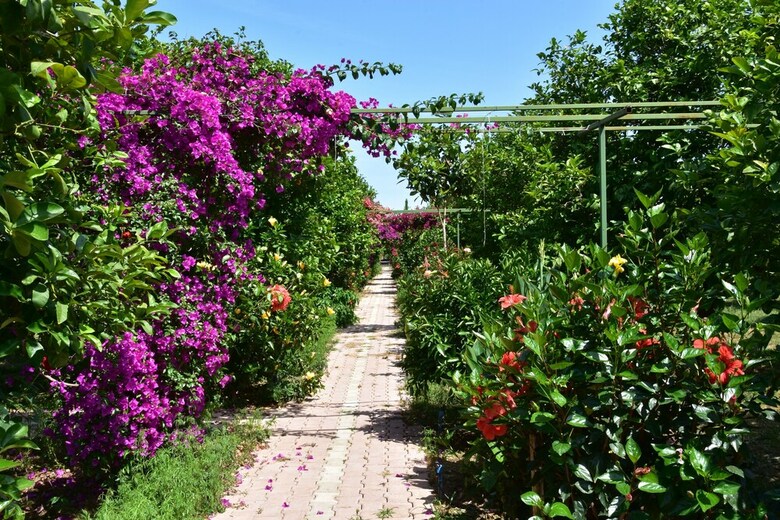 Lemon Garden Lodge