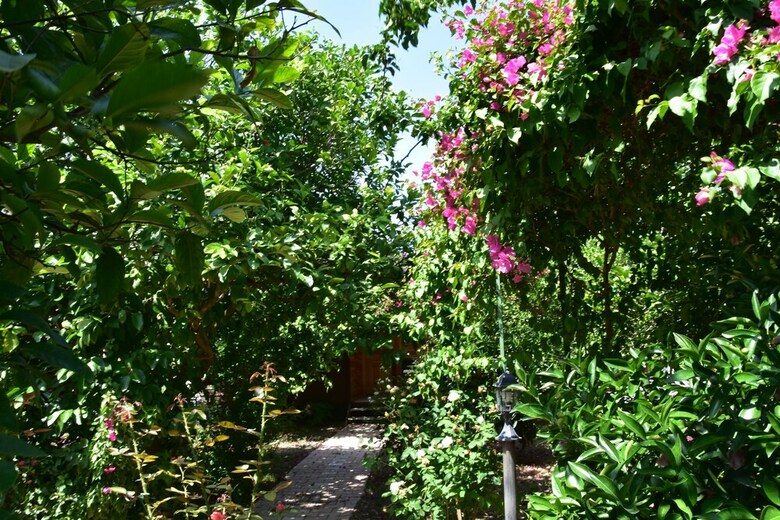 Lemon Garden Lodge