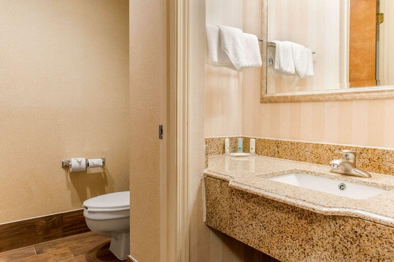 Hotel Quality Inn & Suites