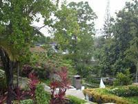 Hotel Hibiscus Lodge (.)