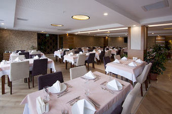 Hotel Mirel Otel