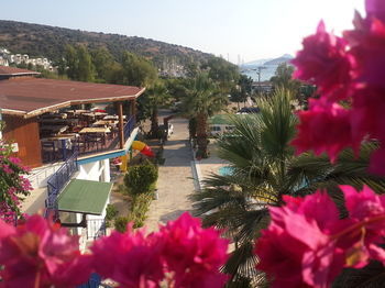 Hotel Chronos Beach Otel