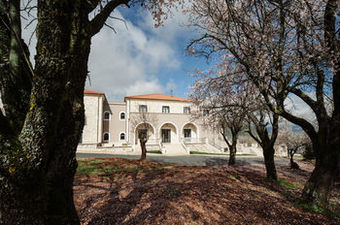 Hotel Levidi Suites