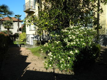 Carducci 24 Bed & Breakfast