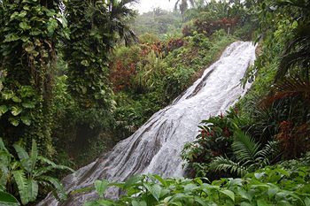 Hostal Inn At Shaw Park Gardens & Waterfalls