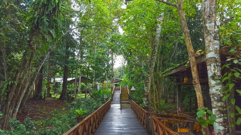 Posada Borneo Nature Lodge