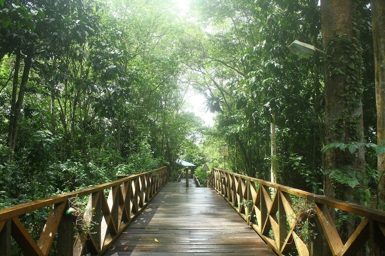 Posada Borneo Nature Lodge