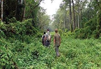 Apartamento Chitwan Forest Resort