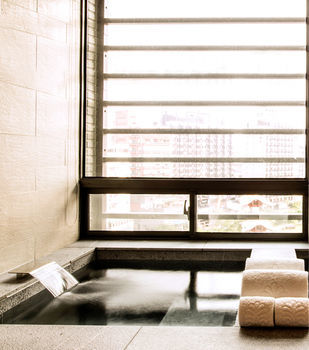 Hotel Royal Beitou