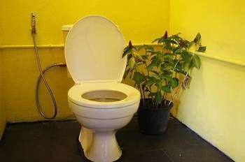 Albergue Dorm Des Fleurs