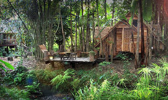 Hotel Rabeang Pasak Treehouse Resort