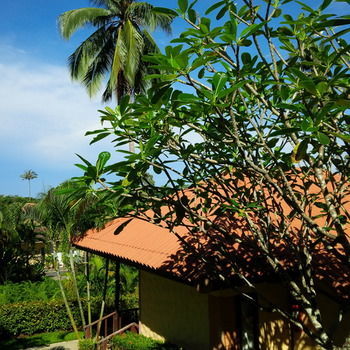Apartamento Paradise Bungalows