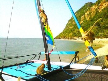 Apartamento Dolphin Bay Resort