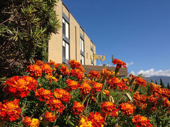 Hotel I Ciliegi