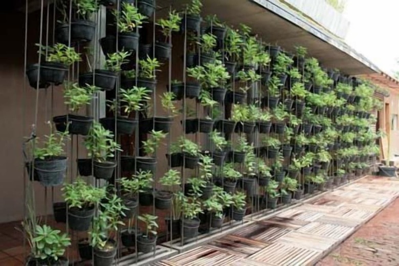 Rumah Turi Eco Hotel