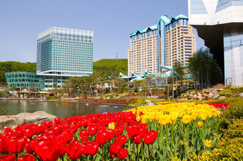 Convention Hotel