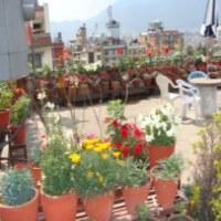 Hotel Thamel