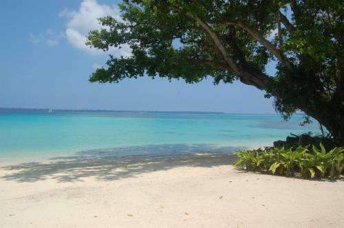 Hotel Barrier Beach House
