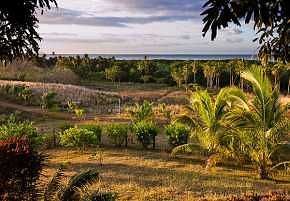Villa Palmlea Farms Lodge & Bures