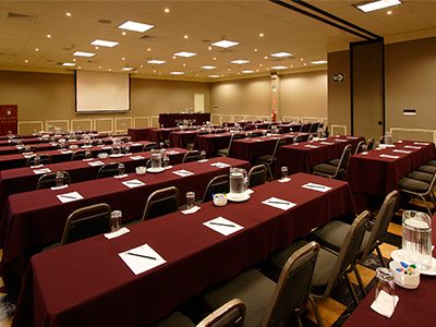 Hotel Plaza Del Bosque