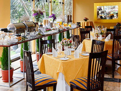 Hotel Plaza Del Bosque