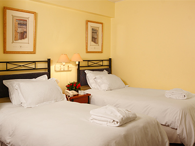 Hotel Plaza Del Bosque