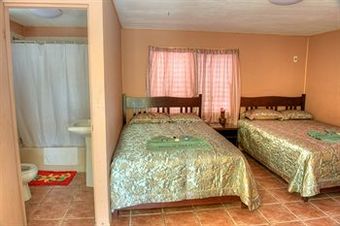 Tropical Paradise Hotel