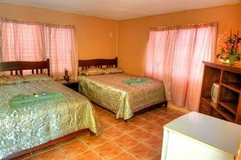 Tropical Paradise Hotel