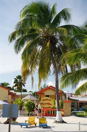 Tropical Paradise Hotel