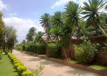 Spendwise Lodge And Apartments