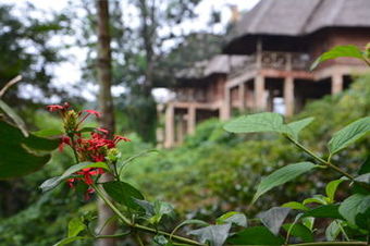 Posada Neptune Ngorongoro Luxury Lodge - All Inclusive