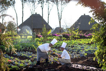 Posada Neptune Ngorongoro Luxury Lodge - All Inclusive