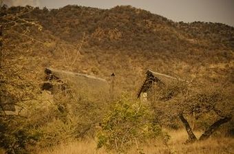 Posada Morokolo Game Lodge