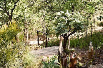 Posada Musangano Lodge