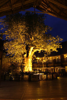 Posada Cresta Mowana Safari Resort & Spa