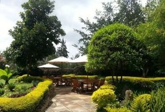 Hotel Margarita House