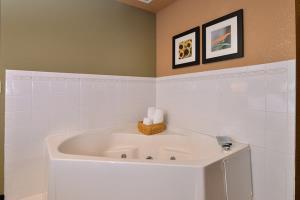 Hotel Quality Inn