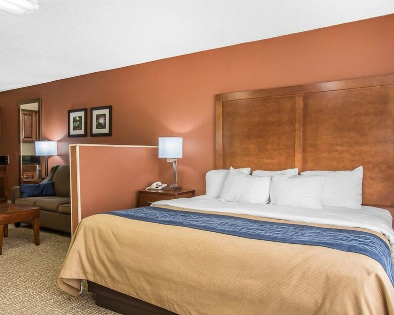 Hotel Comfort Inn Livingston