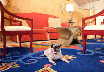 Hotel Ventura Beach Marriott
