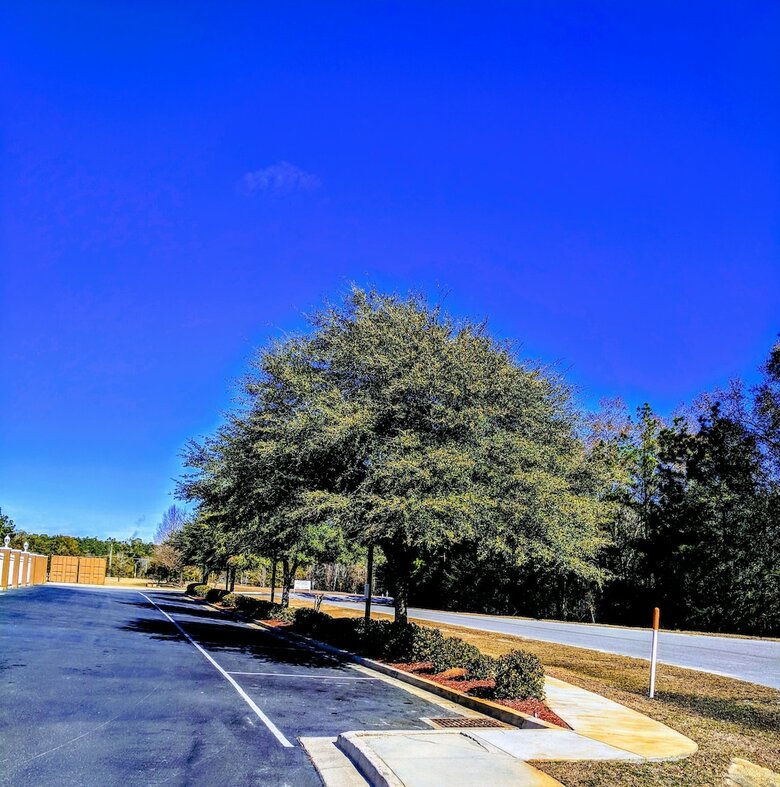 Hotel Fairfield Inn & Suites Marianna