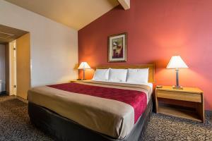 Motel Econo Lodge Brush