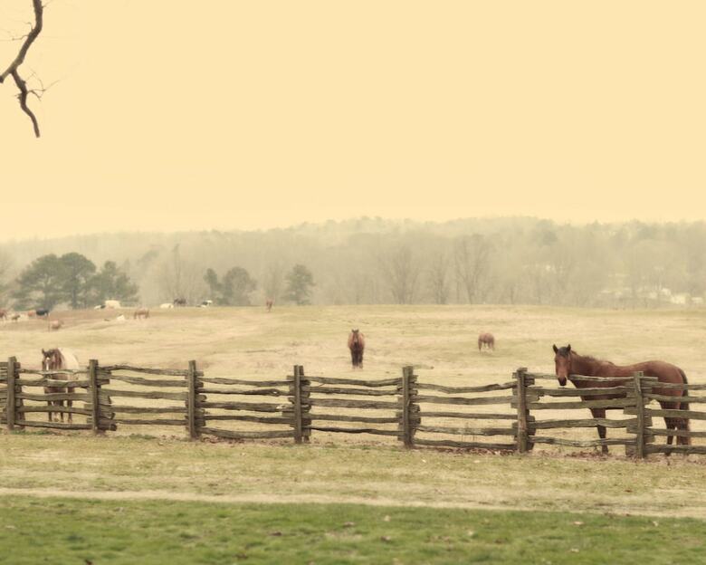 Bed & Breakfast Seventy-four Ranch