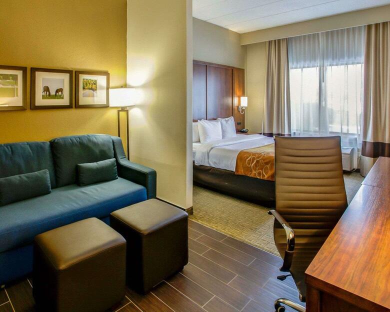 Hotel Comfort Suites