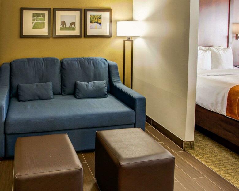 Hotel Comfort Suites