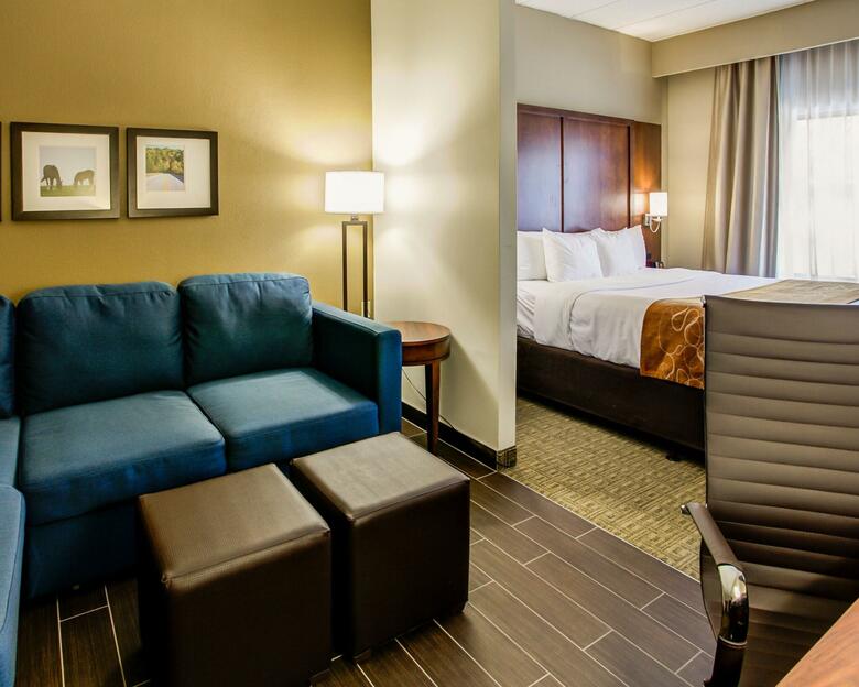 Hotel Comfort Suites